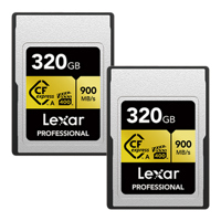 Lexar GOLD Series Professional Picture