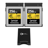 Lexar Gold Series Professional Picture