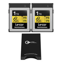 Lexar Gold Series Professional Picture