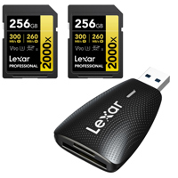 Lexar GOLD Series Professional Picture