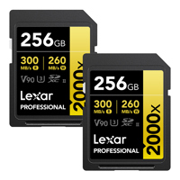 Lexar GOLD Series Professional Picture