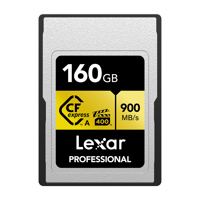 Lexar Gold Series Professional Picture