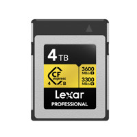Lexar Gold Series Professional Picture