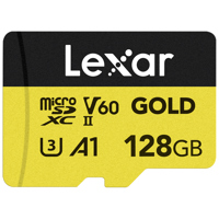 Lexar Professional GOLD microS Picture