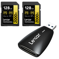 Lexar GOLD Series Professional Picture