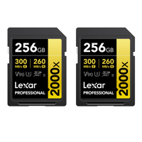 Lexar GOLD Series Professional Picture