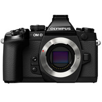 Olympus OM-D E-M1 Mirrorless M Picture
