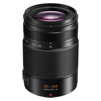 Panasonic Leica DG Vario-Elmar Picture