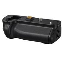Panasonic DMW-BGGH3 Battery Gr Picture