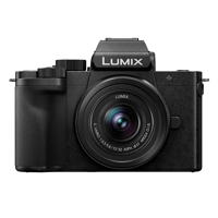 Panasonic LUMIX DC-G100D Mirro Picture
