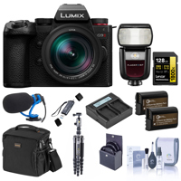 Panasonic LUMIX G9II Mirrorles Picture