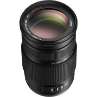 Panasonic Lumix G Vario 100-30 Picture