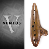 Impact Soundworks Ventus Ethni Picture