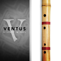 Impact Soundworks Ventus Ethni Picture