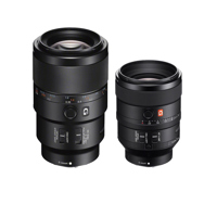 Sony FE 100mm f/2.8 STF GM and Picture
