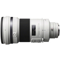 Sony 300mm f/2.8 GII-Series Al Picture