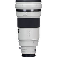 Sony 300mm f/2.8 GII-Series Al Picture