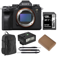 Sony Alpha 1 Mirrorless Camera Picture