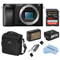 Sony Alpha a6100 Mirrorless Ca Picture