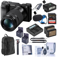 Sony Alpha a6100 Mirrorless Ca Picture