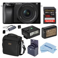 Sony Alpha a6100 Mirrorless Ca Picture