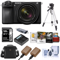 Sony Alpha a6700 Mirrorless Ca Picture