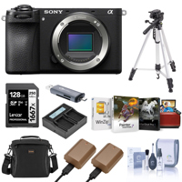 Sony Alpha a6700 Mirrorless Ca Picture