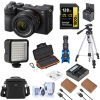 Sony Alpha a7C II Mirrorless C Picture