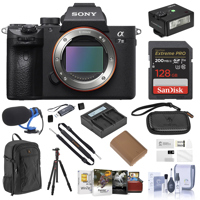 Sony Alpha a7 III Mirrorless C Picture
