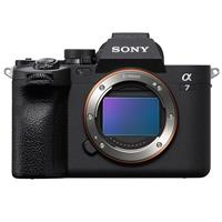 Sony Alpha a7 IV Mirrorless  C Picture
