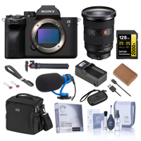 Sony Alpha a7 IV Mirrorless Ca Picture