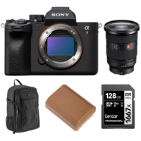 Sony Alpha a7 IV Mirrorless Ca Picture