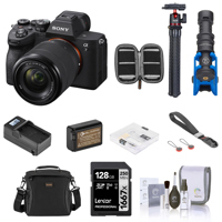Sony Alpha a7 IV Mirrorless Ca Picture