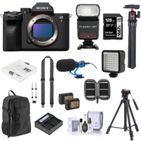 Sony Alpha a7 IV Mirrorless Ca Picture