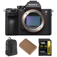 Sony Alpha a7R IV Mirrorless C Picture