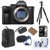 Sony Alpha a7R IV Mirrorless C Picture