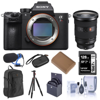 Sony Alpha a7R IV Mirrorless C Picture