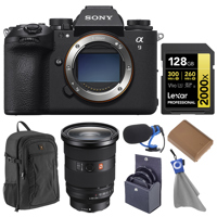 Sony Alpha a9 III Mirrorless C Picture