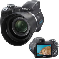Sony Cyber-Shot DSC-H5, Digita Picture