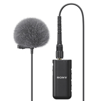 Sony ECM-L1 Omnidirectional Co Picture