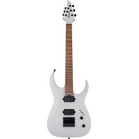Jackson Pro Series Signature M Picture