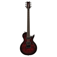 Jackson Pro Series Signature D Picture