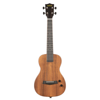 Kala Solid Body Electric Acaci Picture