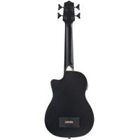 Kala Matte Black Mahogany Jour Picture