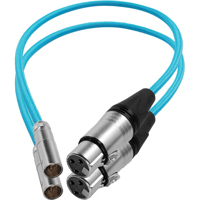 Kondor Blue 16" Mini XLR Male  Picture
