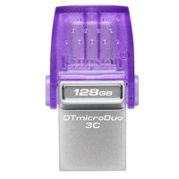 Kingston Technology DataTravel Picture