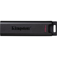 Kingston Technology DataTravel Picture