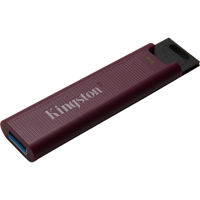 Kingston Technology DataTravel Picture
