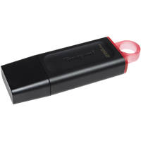 Kingston Technology DataTravel Picture