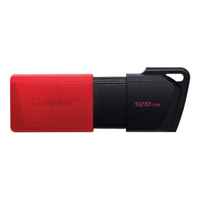 Kingston Technology DataTravel Picture